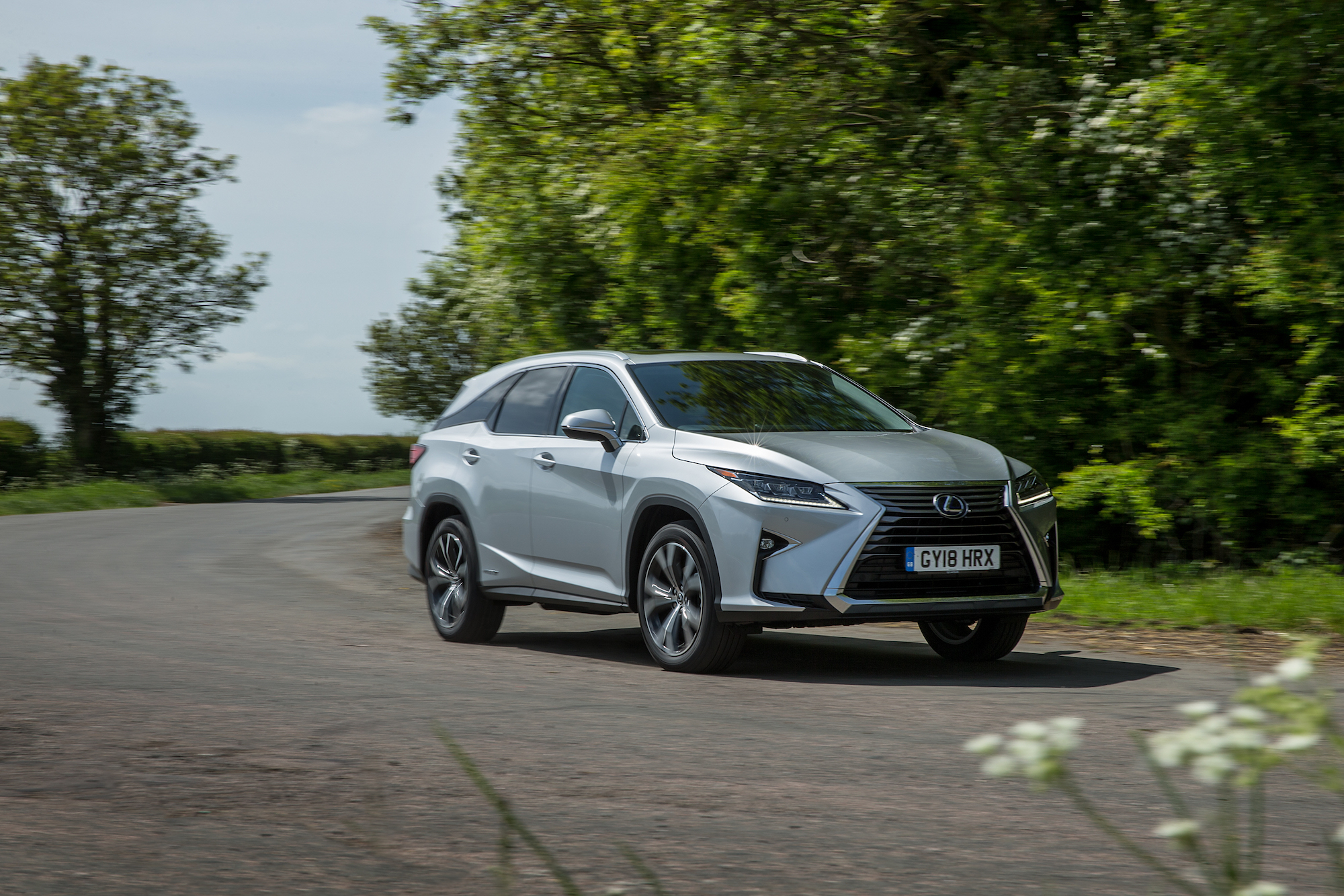 Lexus rx l